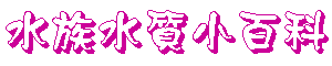 ڤpʬ