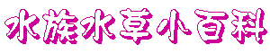 ڤpʬ