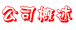 公司概述